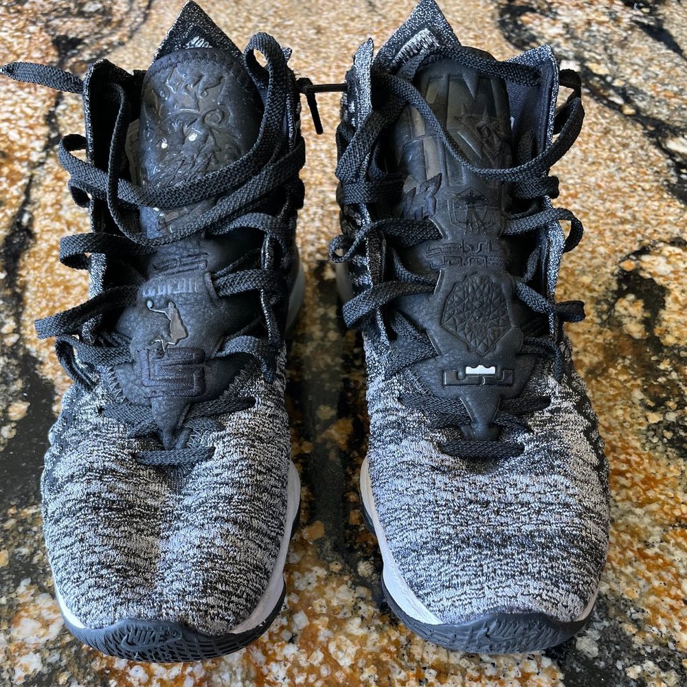 Nike Lebron 17